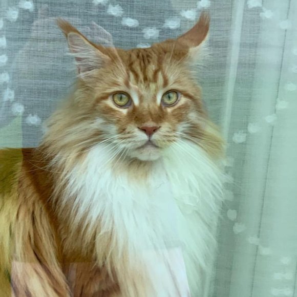 Namaste - Picture 14 of 16